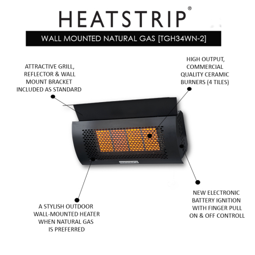 Wall mount gas heater